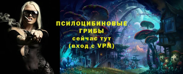 каннабис Дмитровск
