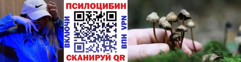 Псилоцибиновые грибы мицелий  Иркутск 